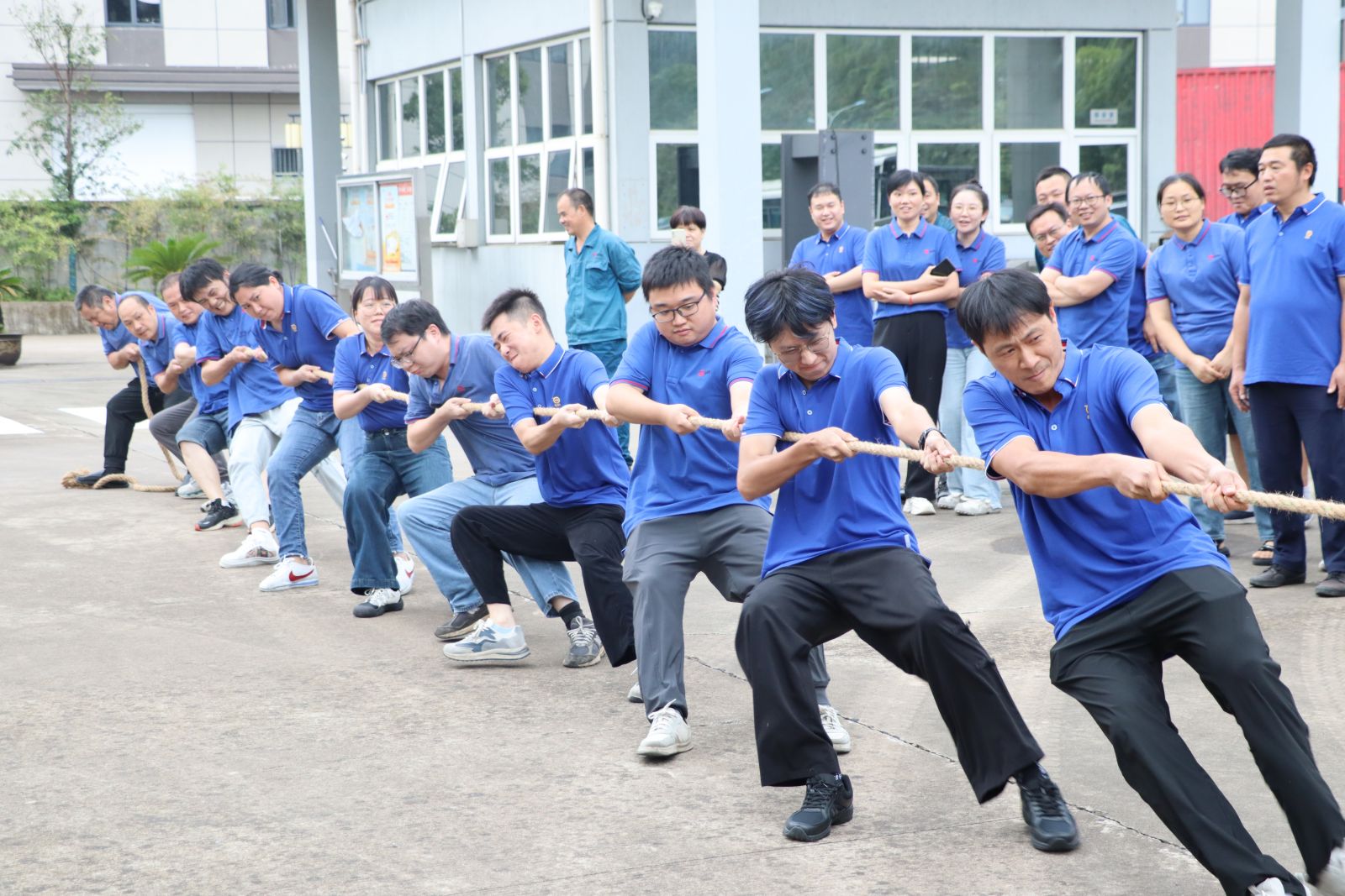 尊龙凯时 - 人生就是搏!