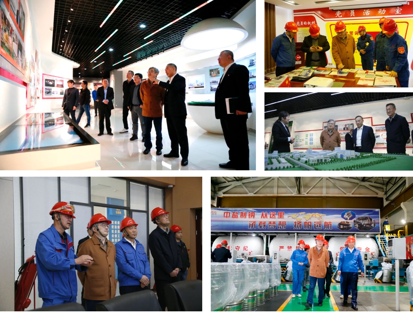 尊龙凯时 - 人生就是搏!